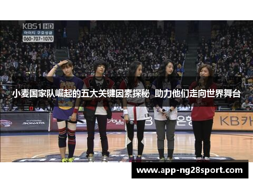 小麦国家队崛起的五大关键因素探秘  助力他们走向世界舞台
